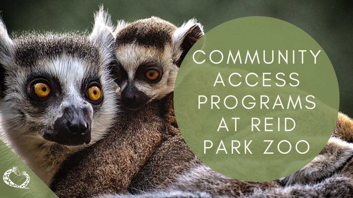Reid-Park-Zoo-Expansion-Tucson-Arizona-Community-Access-Wordpress