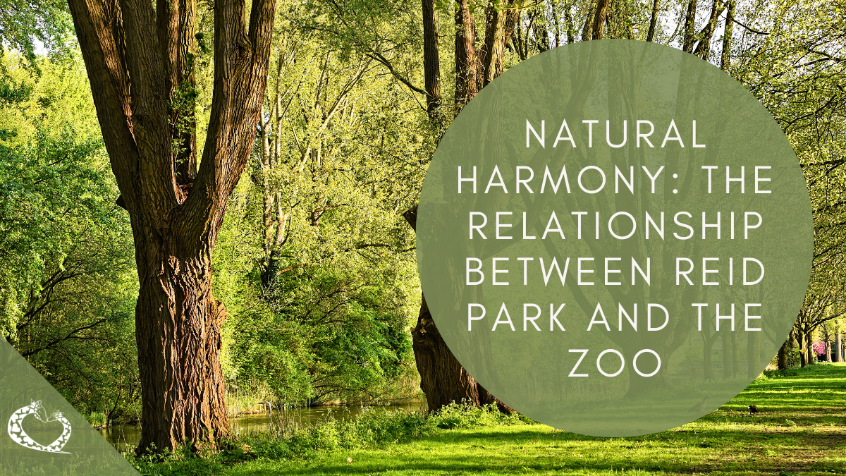 Reid-Park-Zoo-Expansion-Tucson-Arizona-Park-Zoo-Wordpress