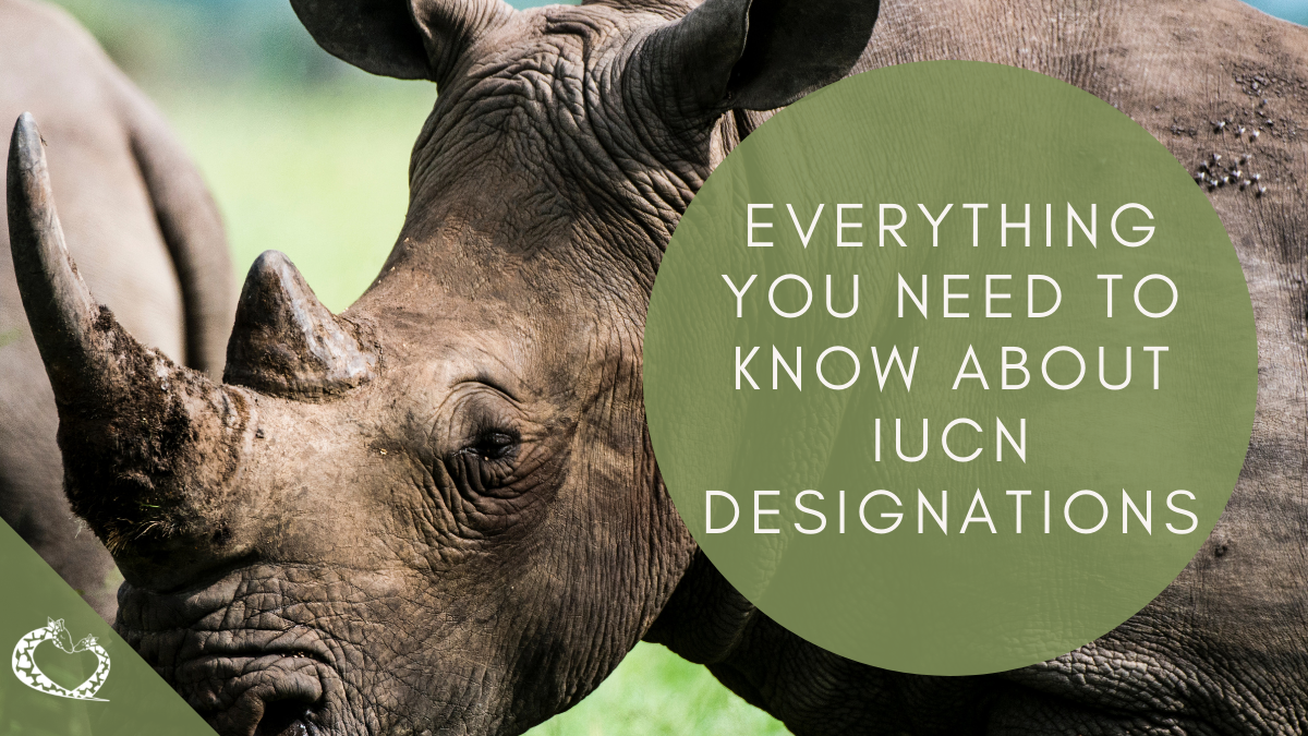 Reid-Park-Zoo-Expansion-Tucson-Arizona-IUCN-Designations