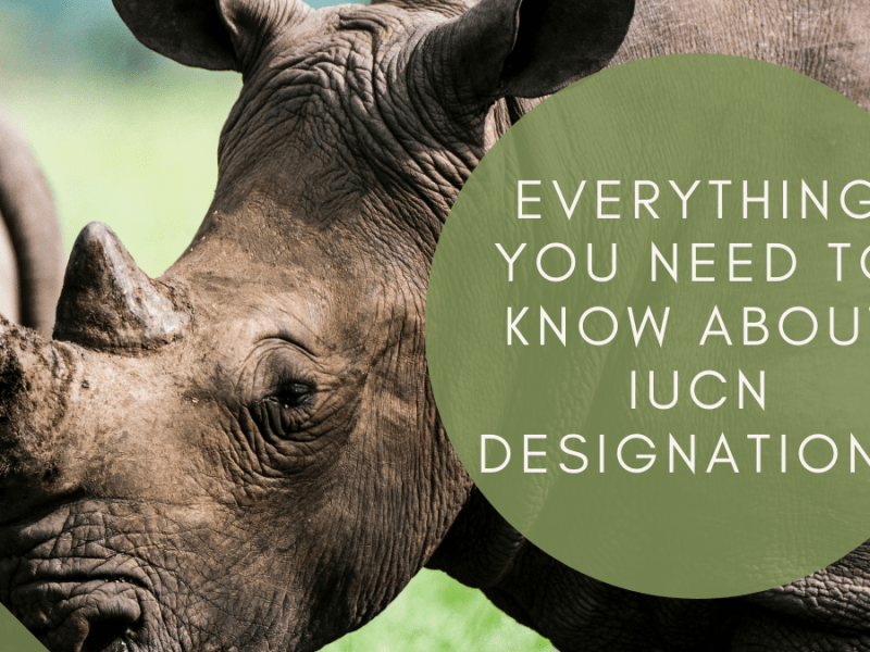 Everything you need to know about IUCN&nbsp;Designations