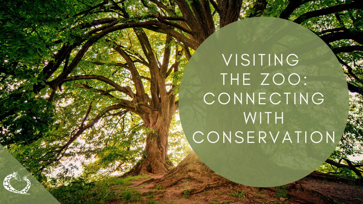 reid-park-zoo-expansion-tucson-arizona-zoo-conservation-wp