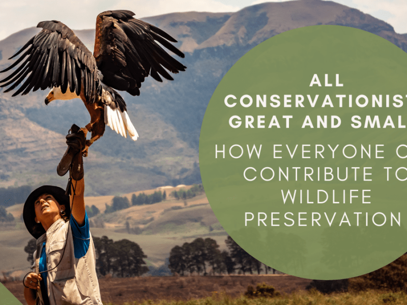 All Conservationists Great and&nbsp;Small